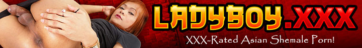 enter ladyboyxxx